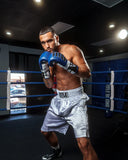 Title Boxing Edge 2.0 Satin Boxing Shorts Trunks All White