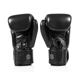 Fairtex BGV1C-PLUS Muay Thai Boxing Gloves Black