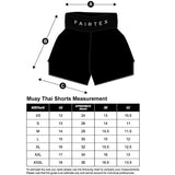 Fairtex Muay Thai Shorts BS1901 Stealth Black