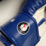 Windy Muay Thai Kids Youth Boxing Gloves Blue
