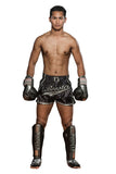 Booster Fight Gear Muay Thai Boxing Gloves BGL1 V3 Black/Silver